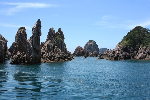 곡성장미세계축제