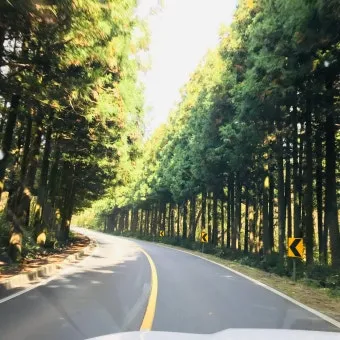 걷기 좋은 명품 숲길 50선 전국 서울 경기_28