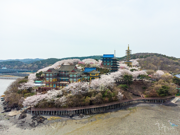 태안 안면암 가는 길부터 포토존 명소까지 완벽 가이드