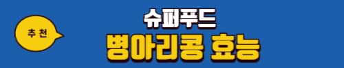 렌틸콩 효능