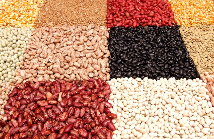 가을철 탈모예방에 좋은 방법