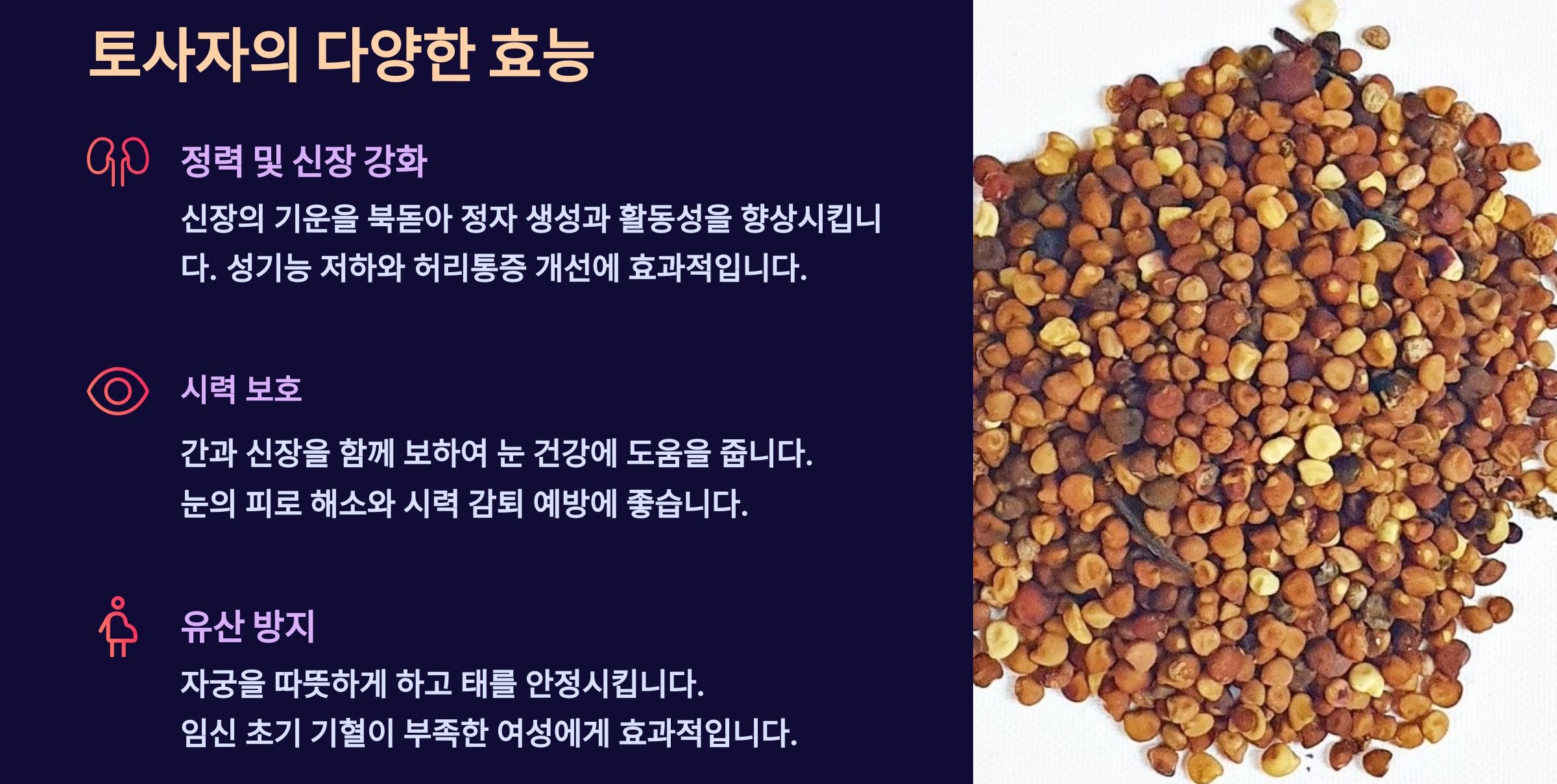 토사자 효능