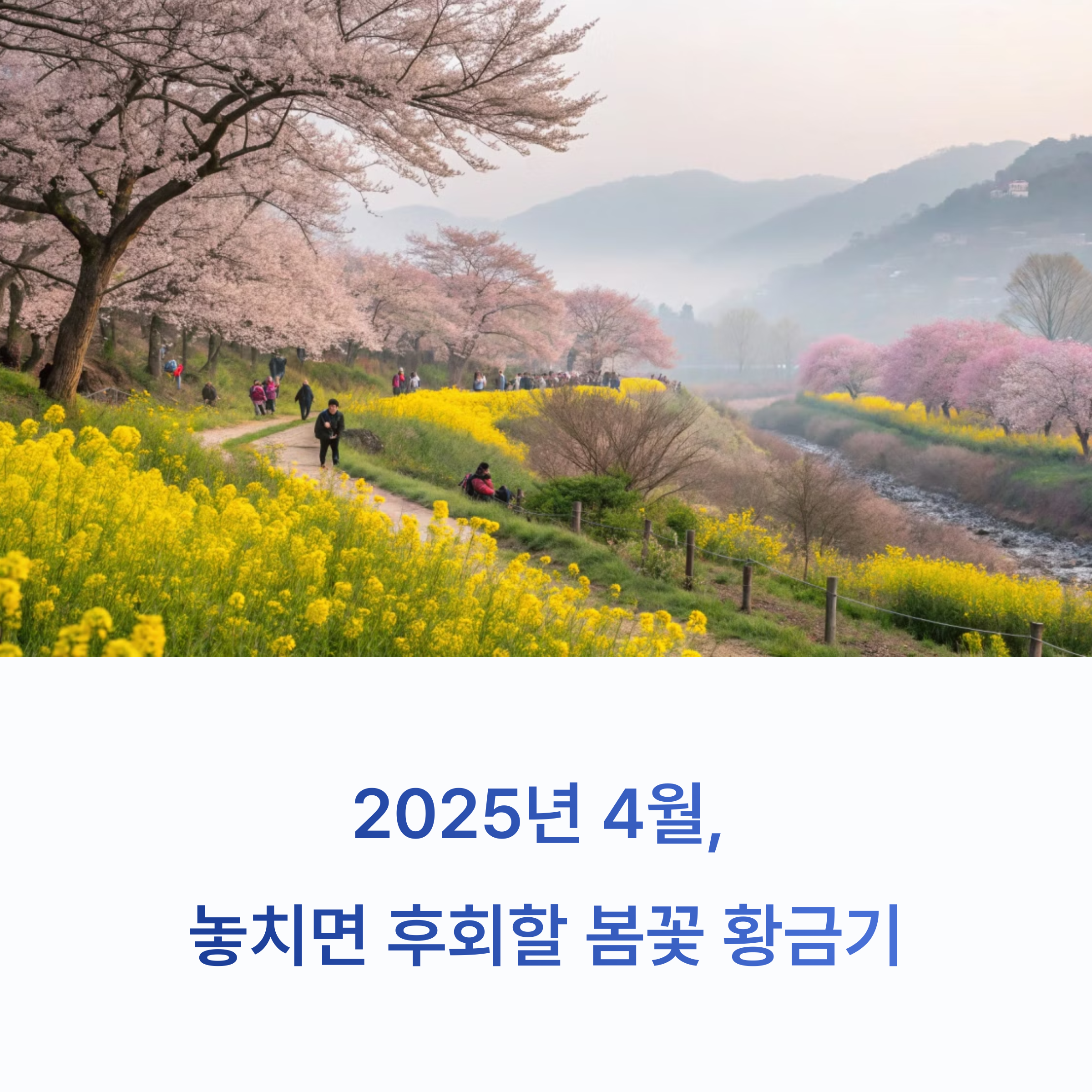 4월 셋째 주, 봄꽃 절정 시기! 전국 추천지 총정리