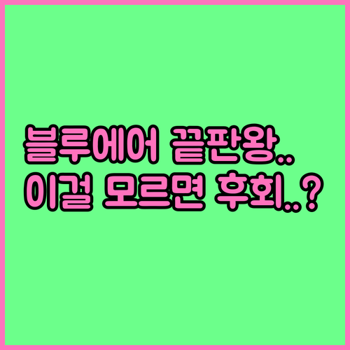 블루에어 공기청정기 프리미엄 모델 비..