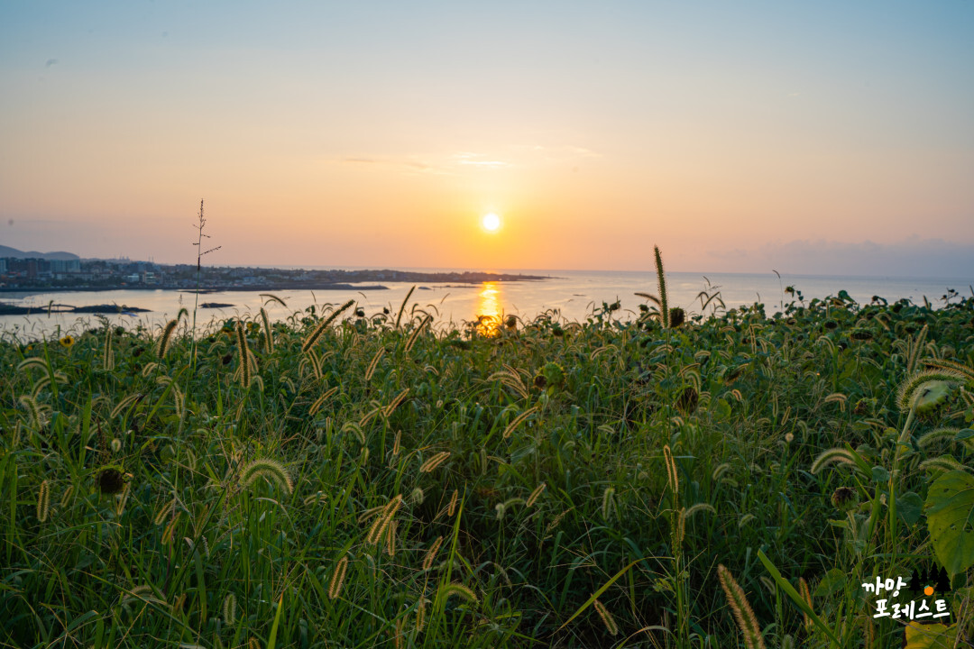 함덕 서우봉 일몰