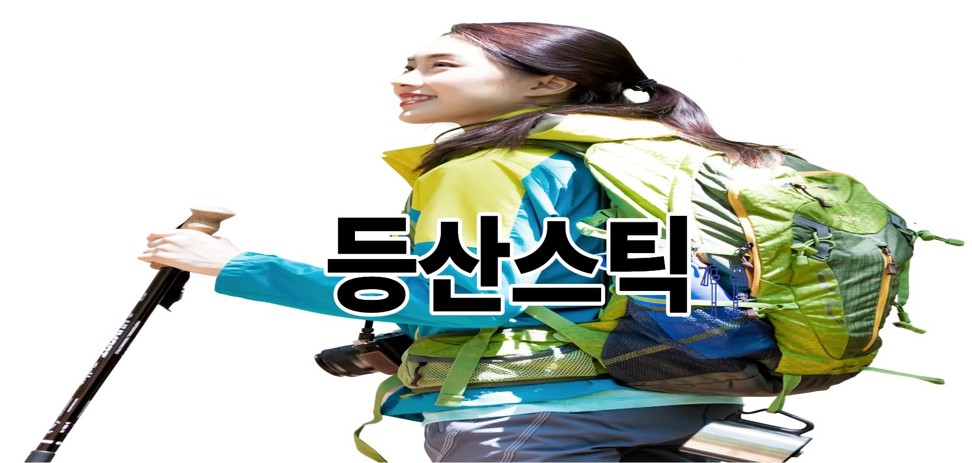 등산스틱