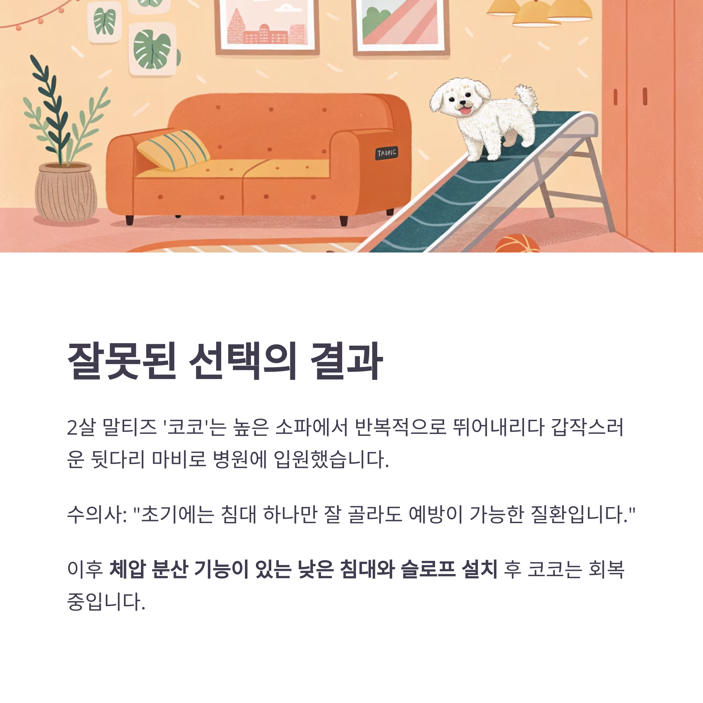 잘못된 선택의 결과