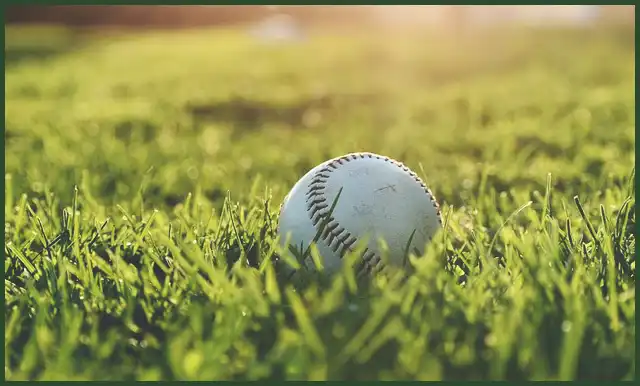 프리미어12 순위, 한국 야구 경우의 수 분석