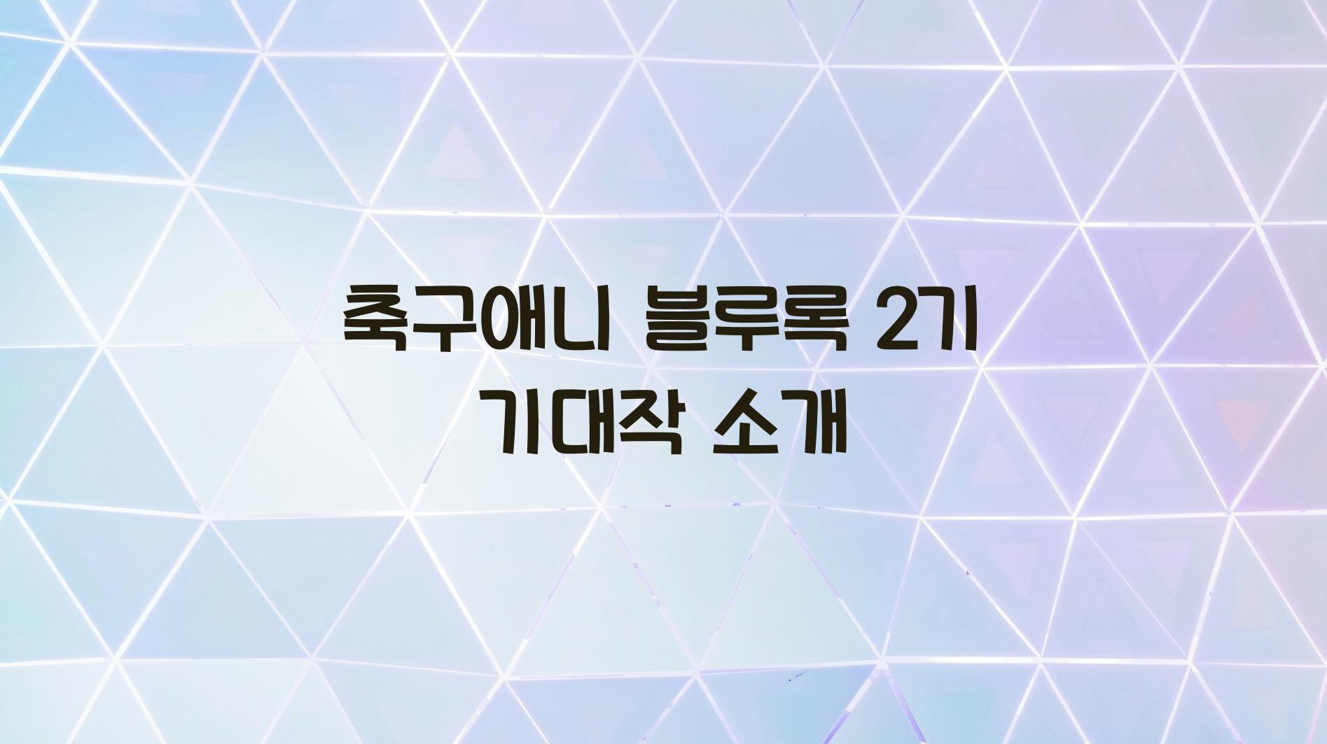 축구애니