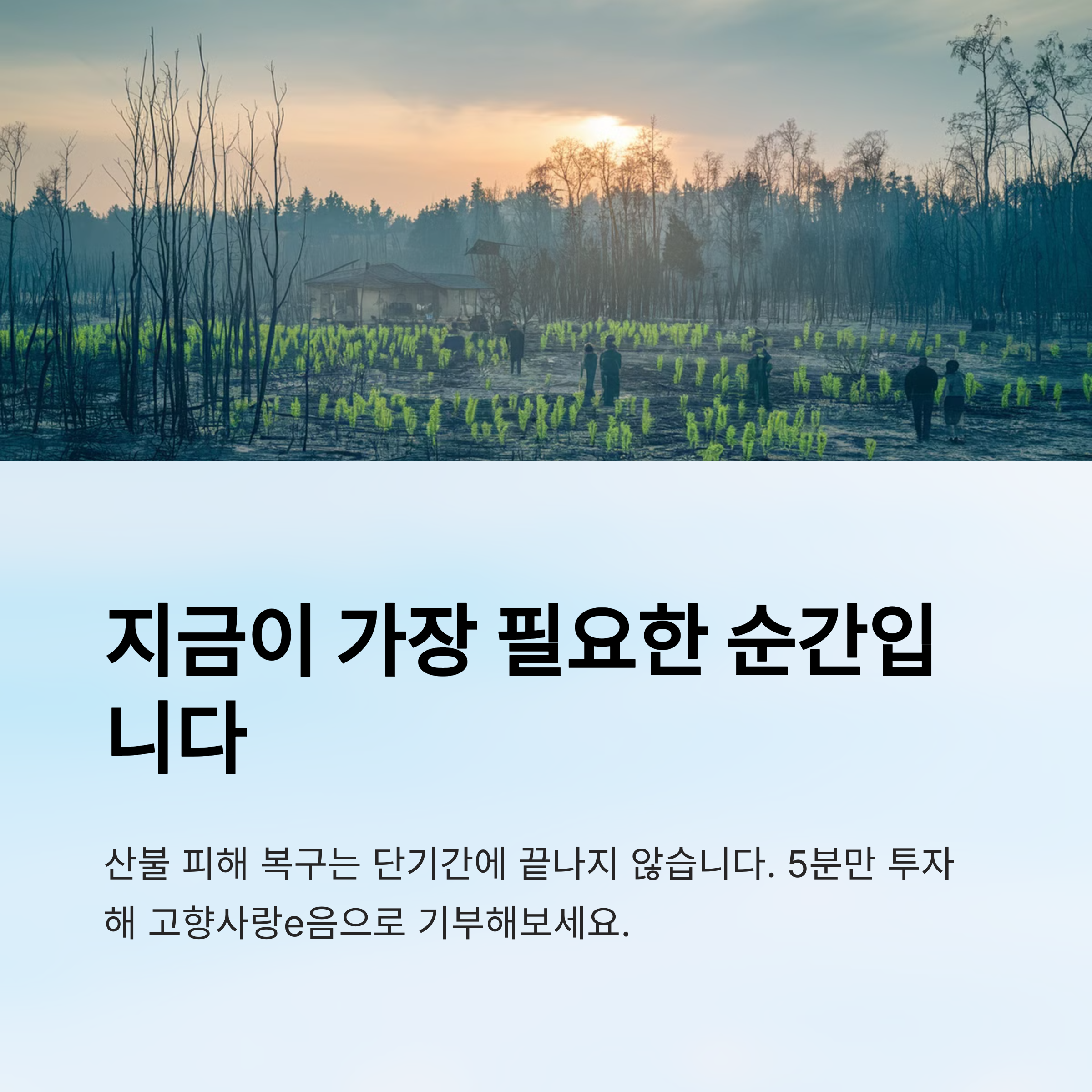산불 피해 복구의 시급성 강조