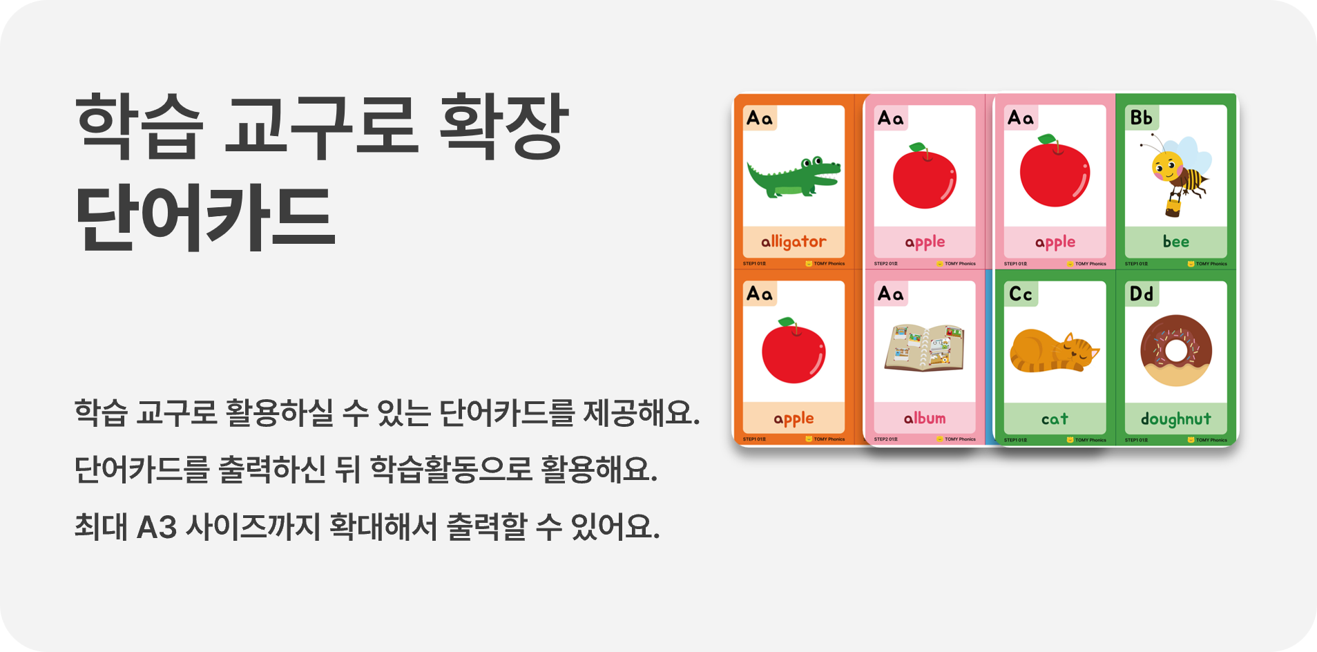 토미 파닉스 단어카드