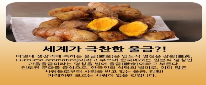 진도 울금(강황) 재배 상품 이미지