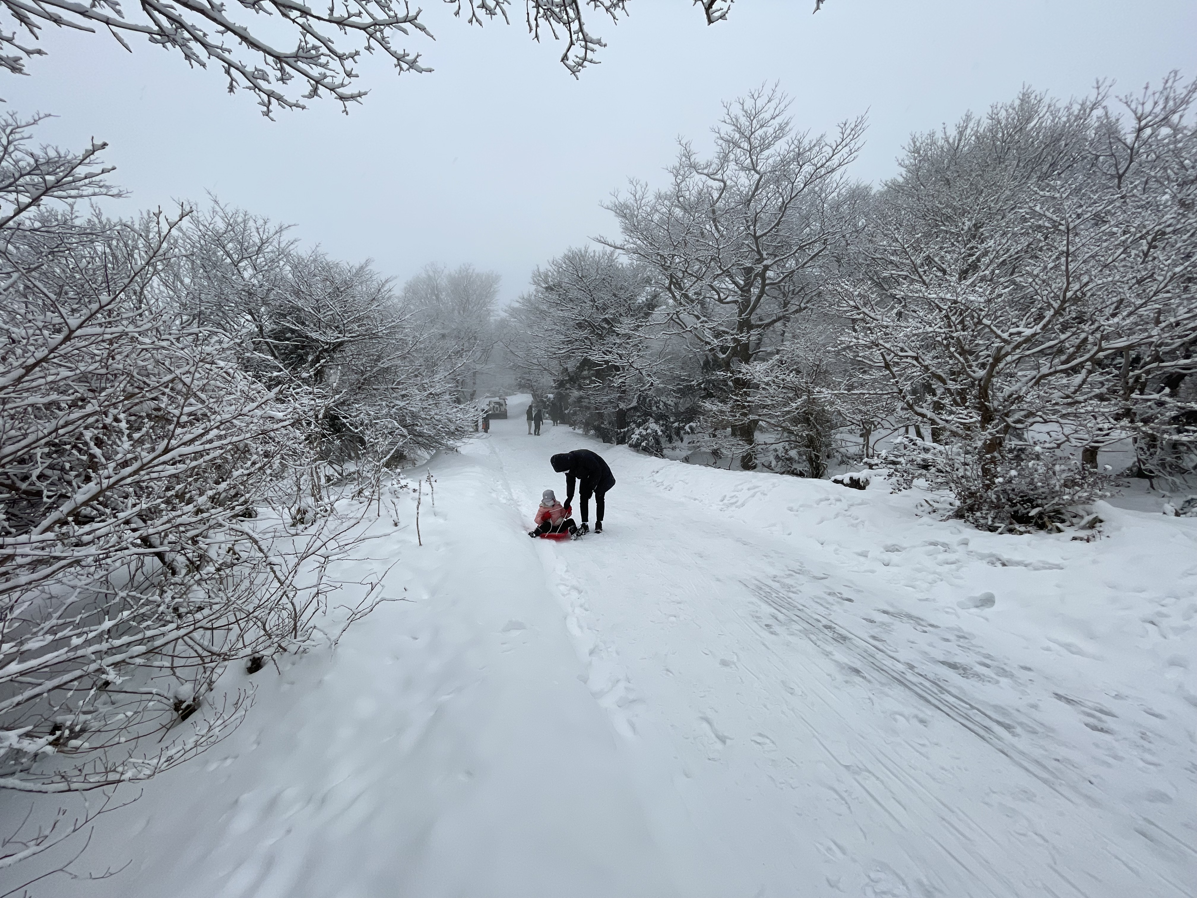 제주 눈썰매 스팟 주차 위치 파는곳
