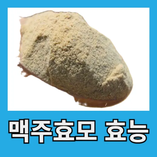 탈모에 좋은 맥주효모의 효능
