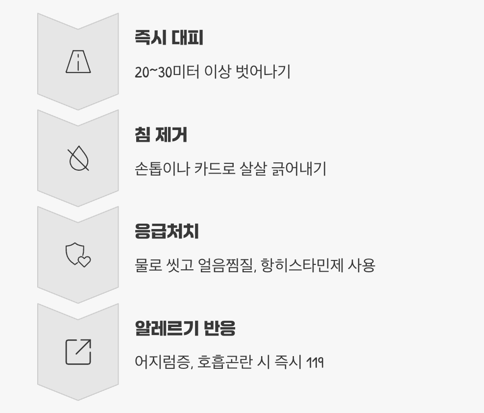 만약 쏘였다면? (응급처치)