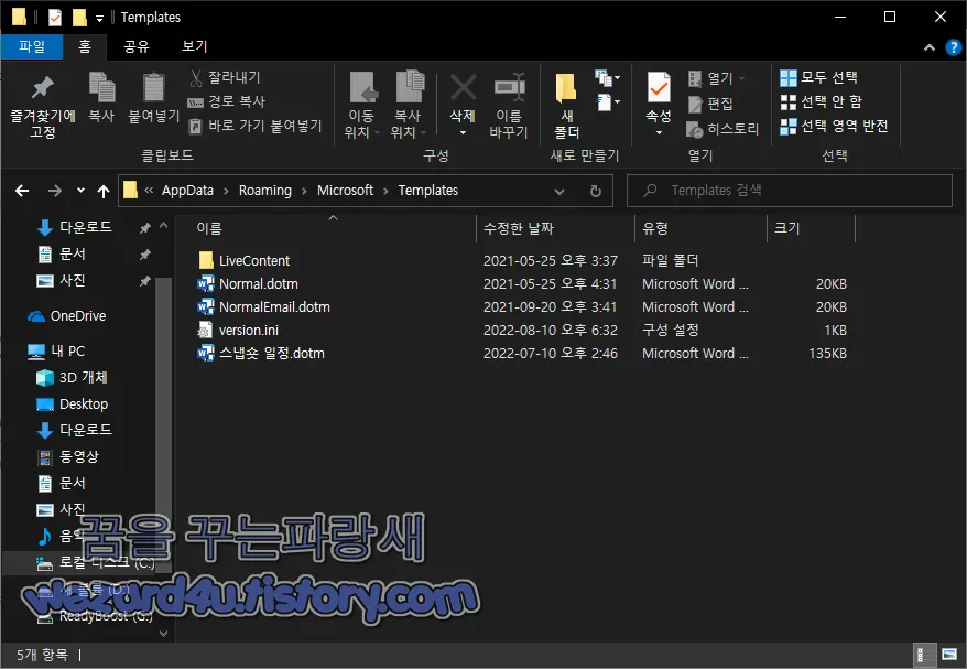 악성코드가 생성한 version 파일