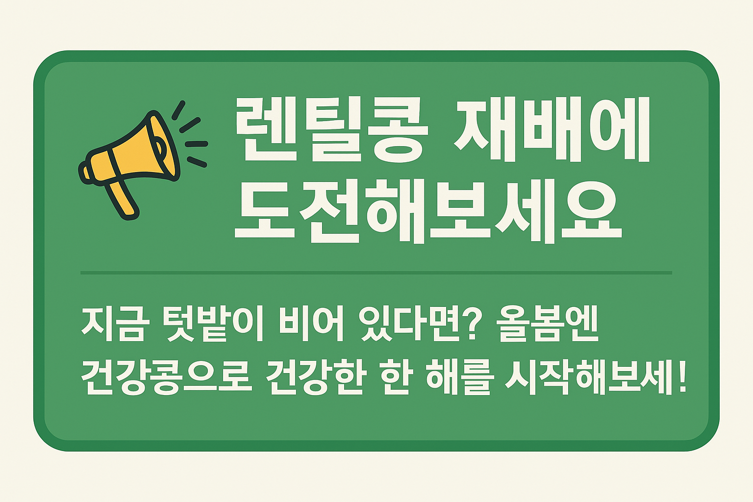 렌틸콩 재배