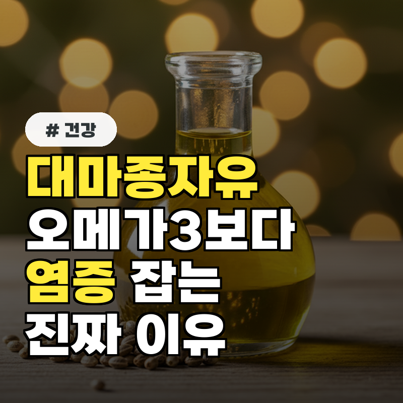 대마종자유 효능, 오메가3보다 흡수율 높고 염증 잡는 진짜 이유