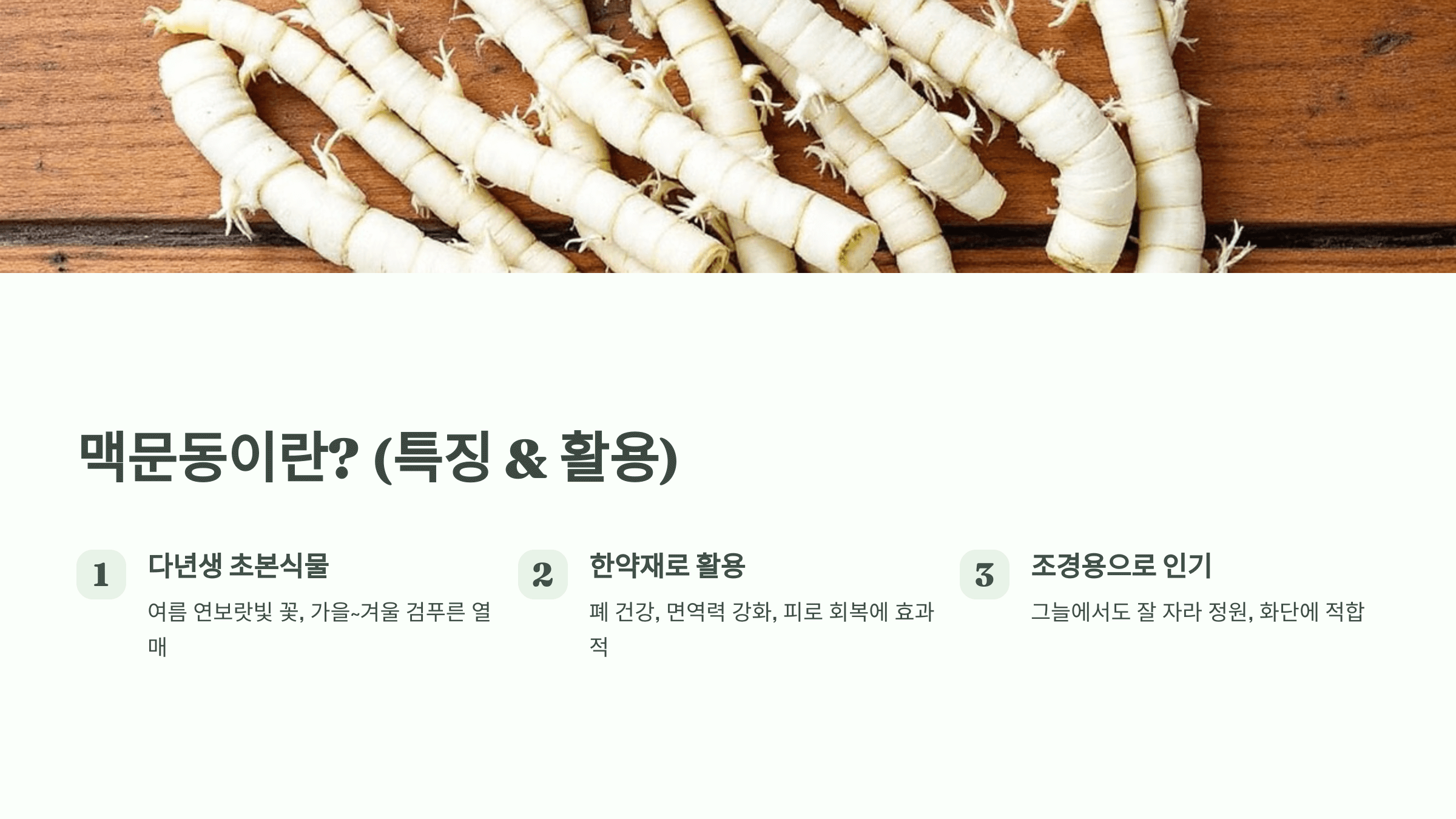 맥문동 사진입니다.