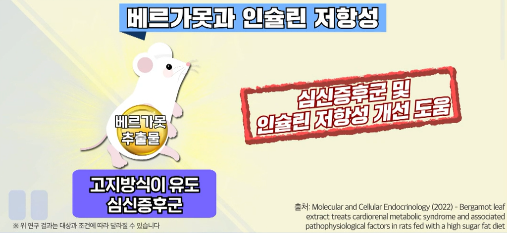 베르가못 효능