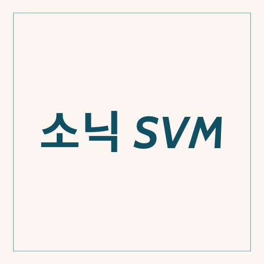 소닉SVM 코인 암호화폐 시세 초보자