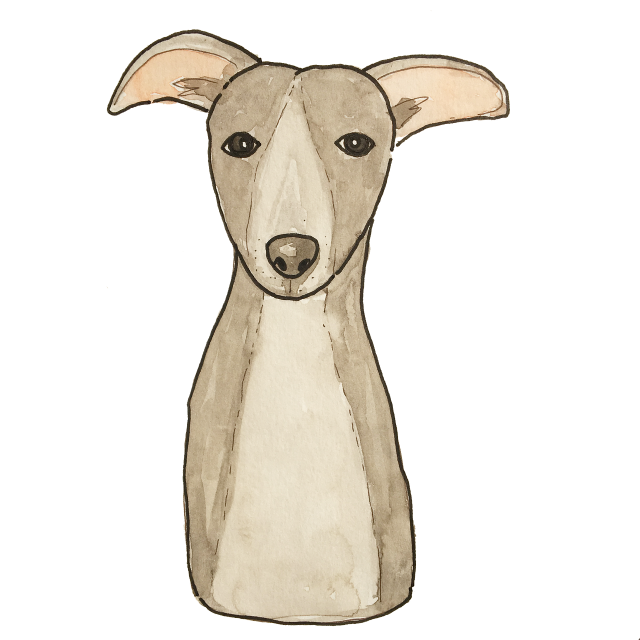 강아지 피부병 종류와 치료법