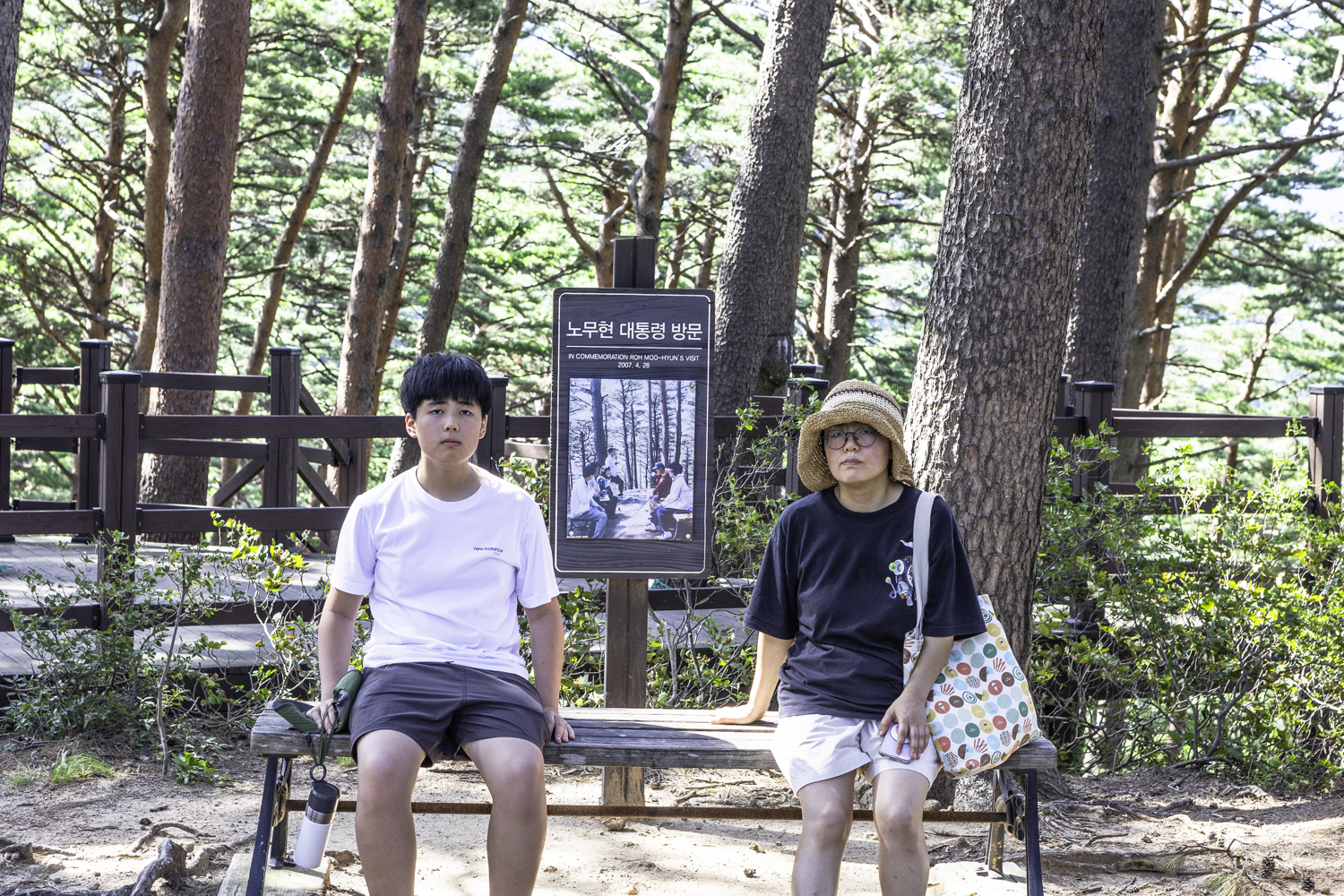 대관령소나무길 노무현 대통령