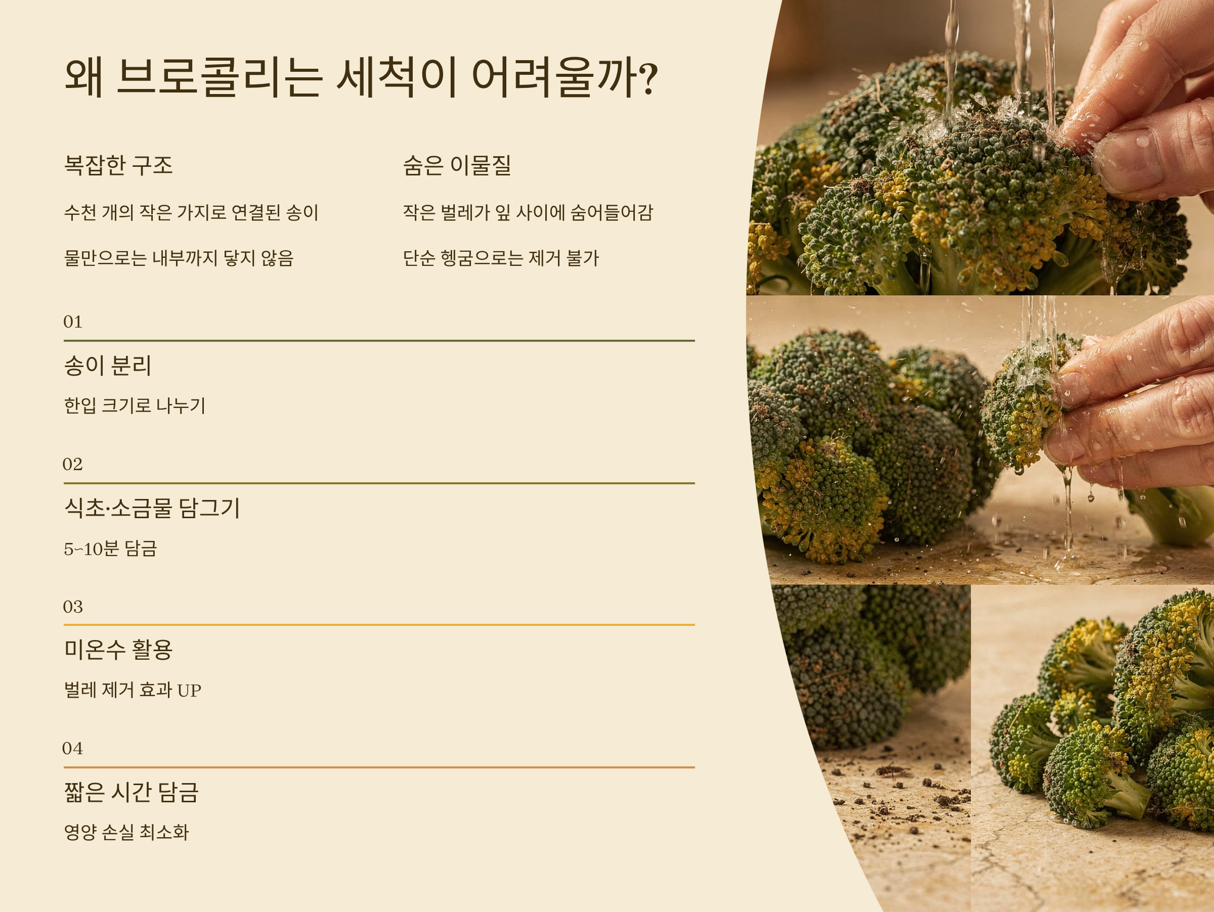 브로콜리 씻는방법 왜 어려울까