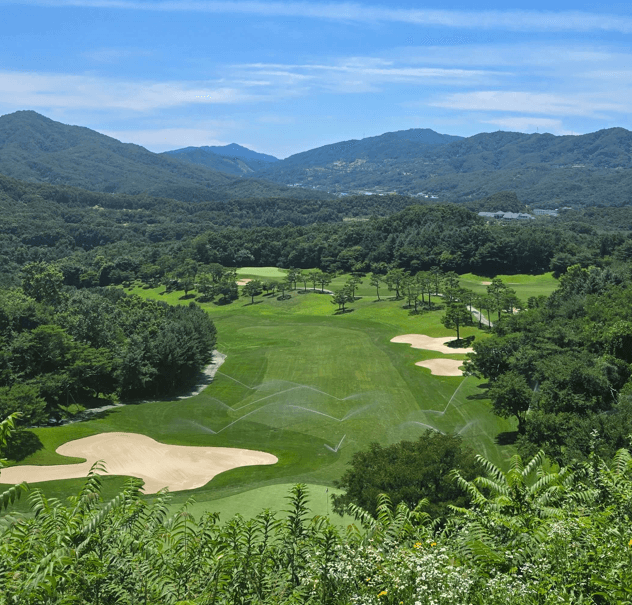 포천베어크리크 크리크코스의 여름