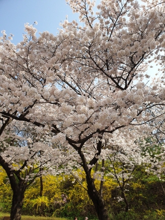 숙소예약사이트-국내여행