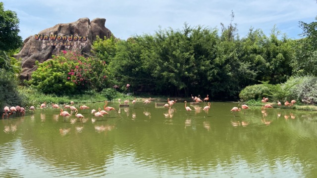 [나트랑 빈펄랜드 후기] 빈원더스 입장권, 케이블카, 워터파크, 지도등 총정리