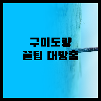 구미도량2-3단지 국민임대, 다음은