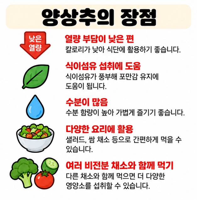 낮은 열량 식이섬유 수분과 다양한 비전분 채소 섭취를 양상추 효능으로 보여주는 카드