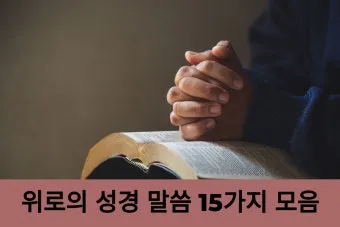 위로의 성경 말씀 치유의 말씀 50선_6