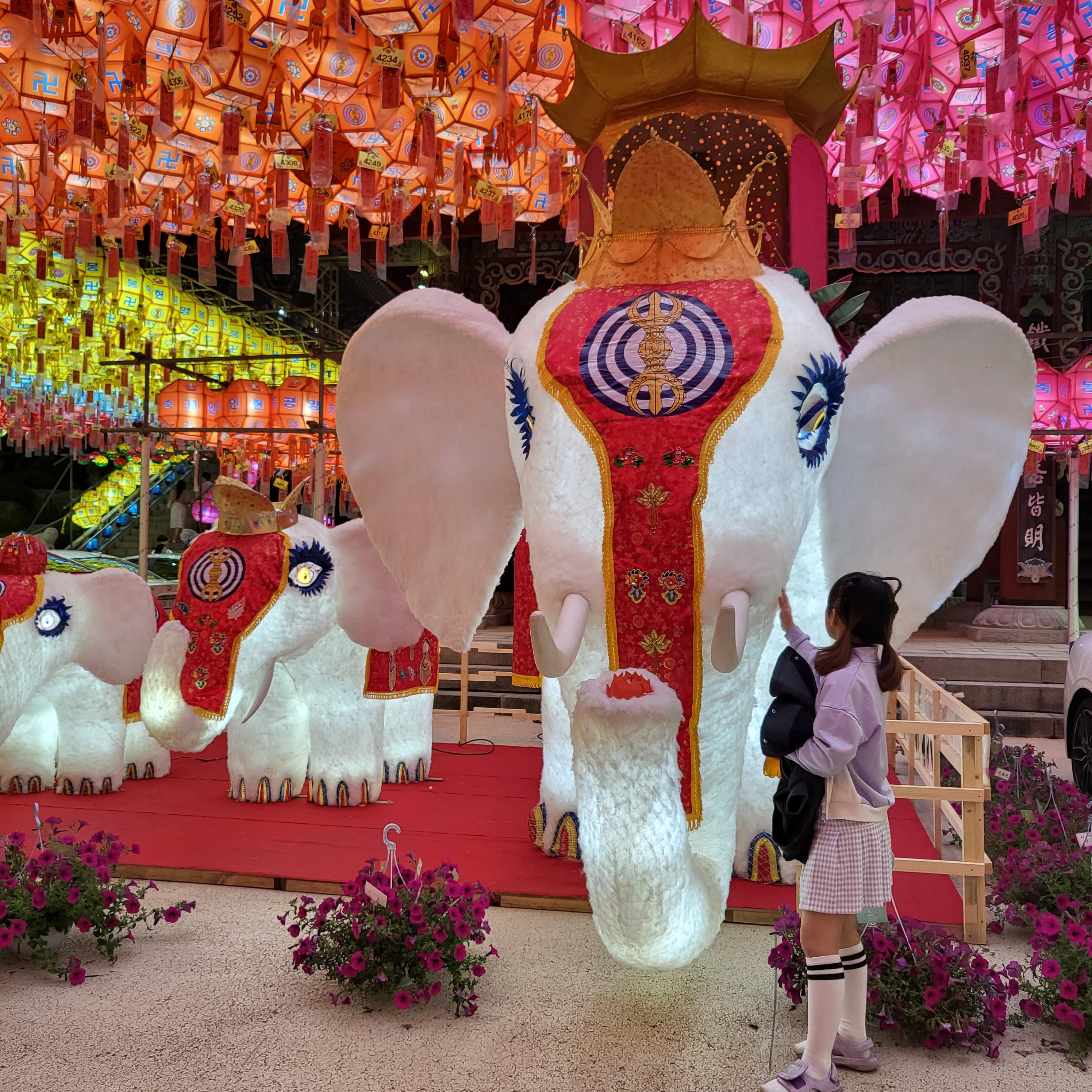 부산 삼광사 연등축제 일정 시간 주차알아보기