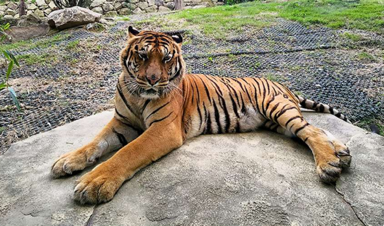 대구 네이처파크 야외동물원
