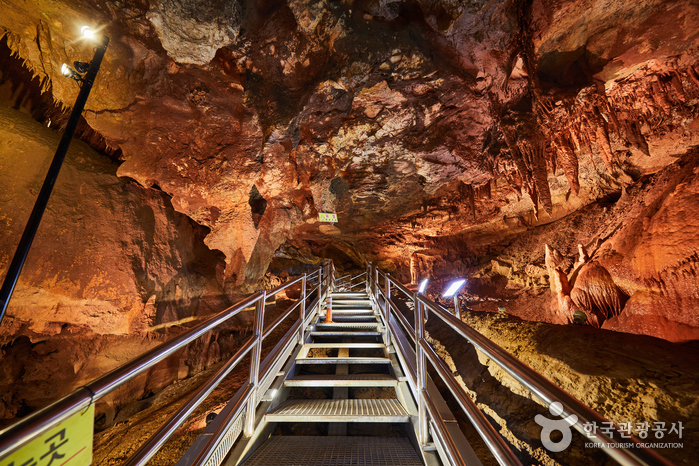 동해 가볼만한곳 - 천곡황금박쥐동굴