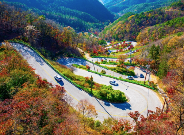 충청북도 여름 여행