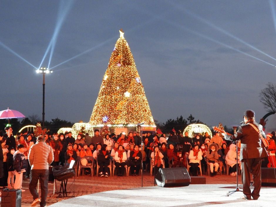 함평 겨울빛축제 — 함평의 밤, 빛의 향연