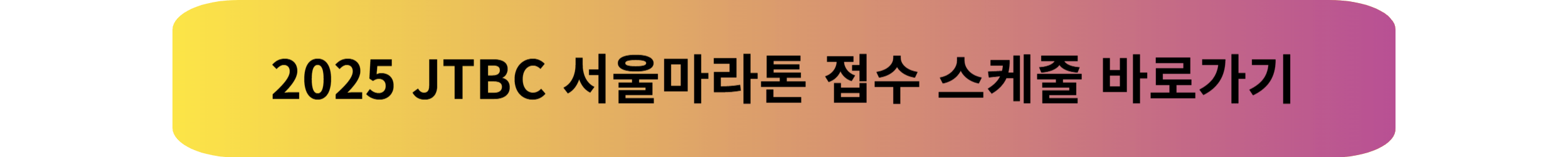 2025 JTBC 서울마라톤, 대회정보 한 눈에 보기