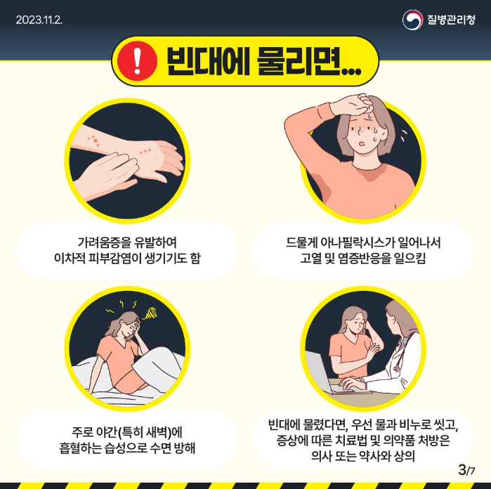 빈대 물린자국