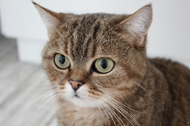 노래로 배우는 일본어 I love you 오자키 유타카 포지션 I Love You 일본원곡 가사 독음 번역 단어정리로 안내_7