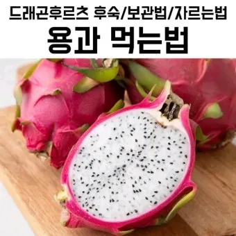 용과의 효능 총정리 피부 혈당 장건강에 좋은 이유와 먹는법_2