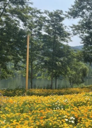 4월 국내 여행지