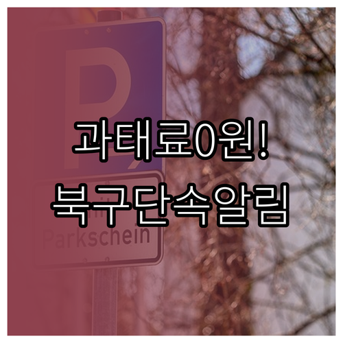 울산 북구 차량 주정차 단속 알림 서..