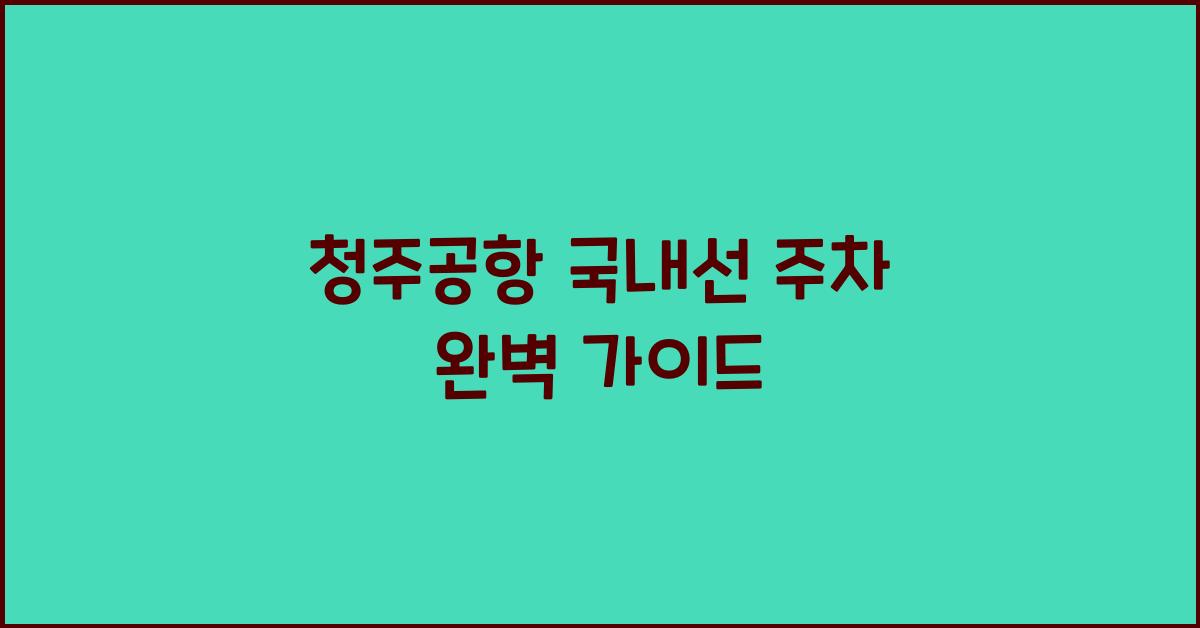 청주공항 국내선 주차