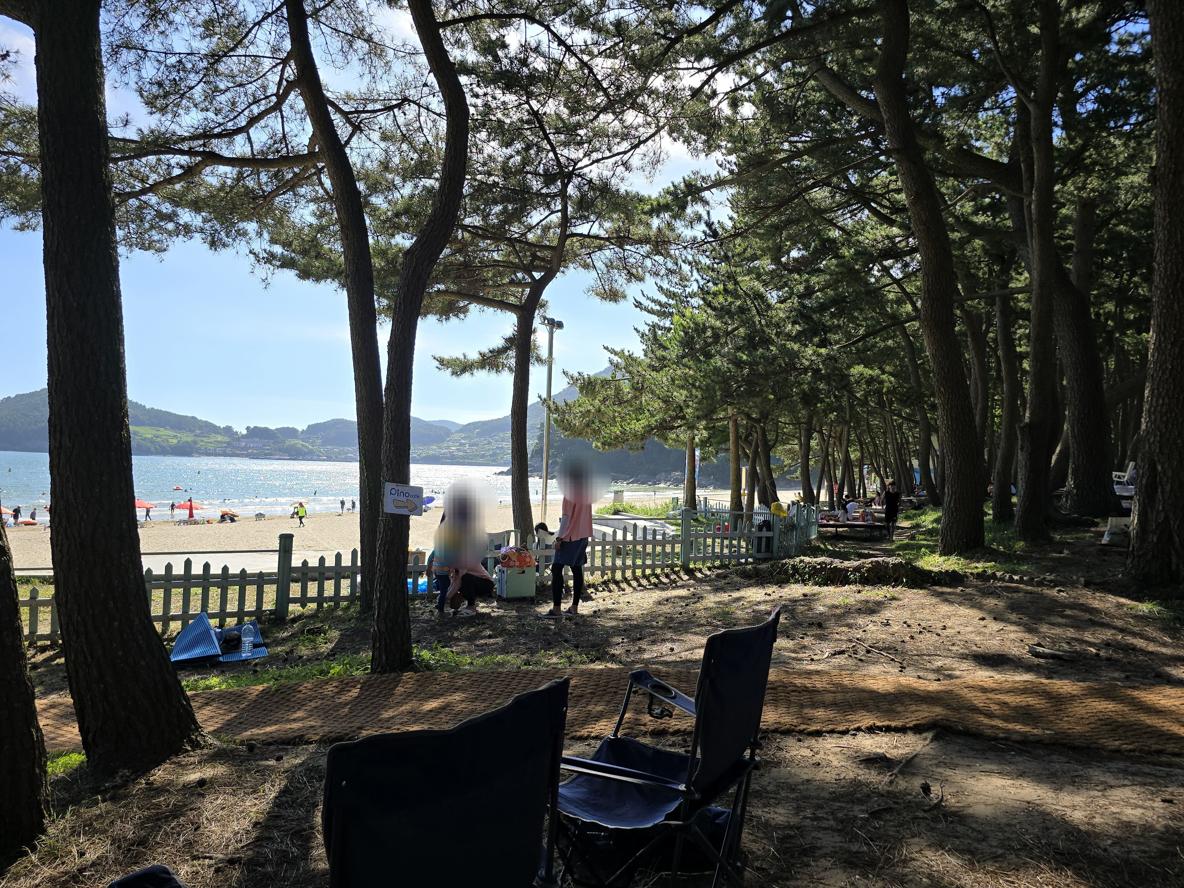 남해 송정솔바람해수욕장 소나무 그늘