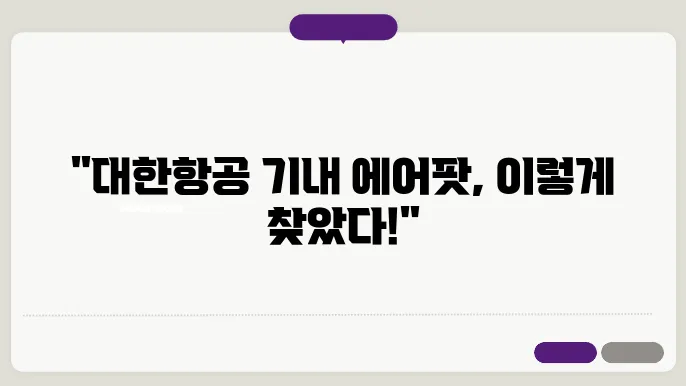 대한항공 기내 분실물 찾은 후기: 에어팟 사례 분실물, 분실물 센터, 분실물 찾는 법