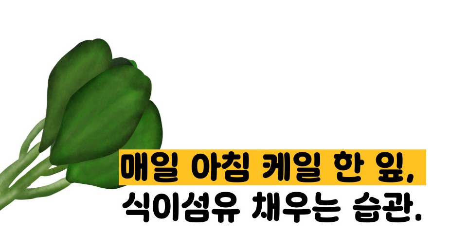 식이섬유가 많은 음식