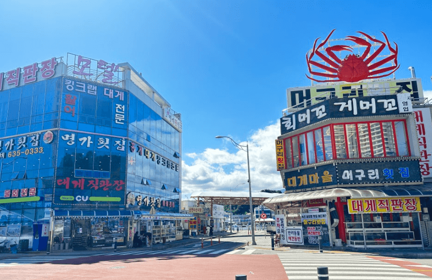 대포항